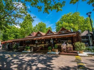 Szieszta Erzsébet utca